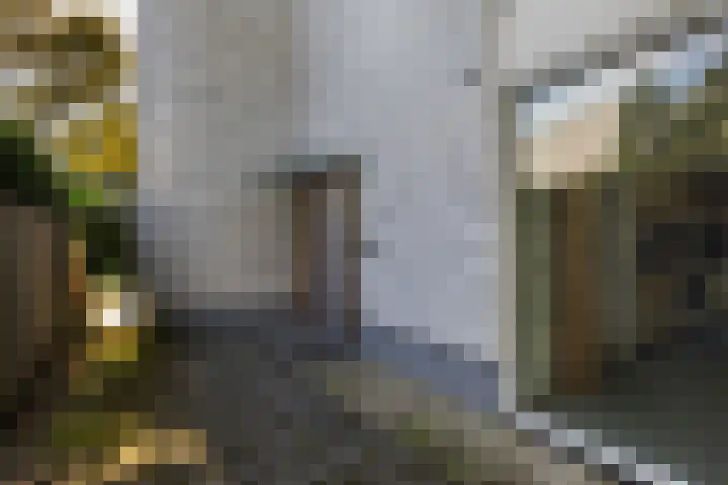 Onderlangs 40 Rotterdam thumbnail 10
