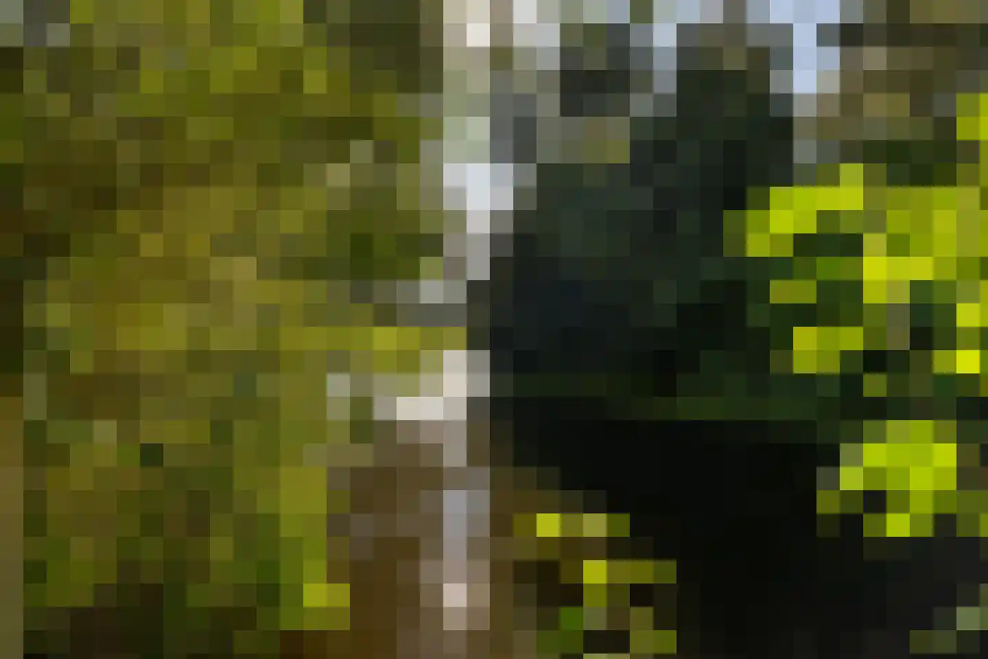 Onderlangs 40 Rotterdam thumbnail 15