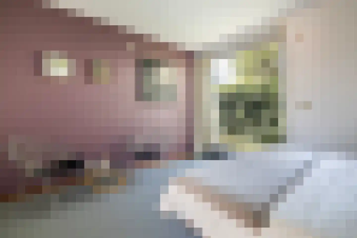 Onderlangs 40 Rotterdam thumbnail 35