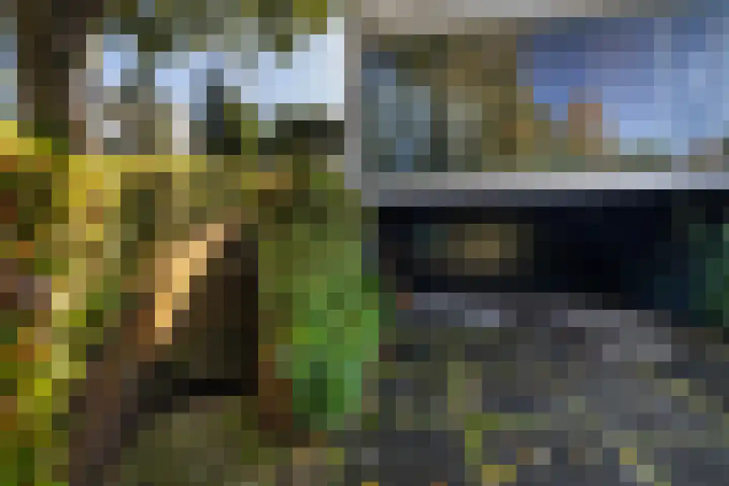 Onderlangs 40 Rotterdam thumbnail 9