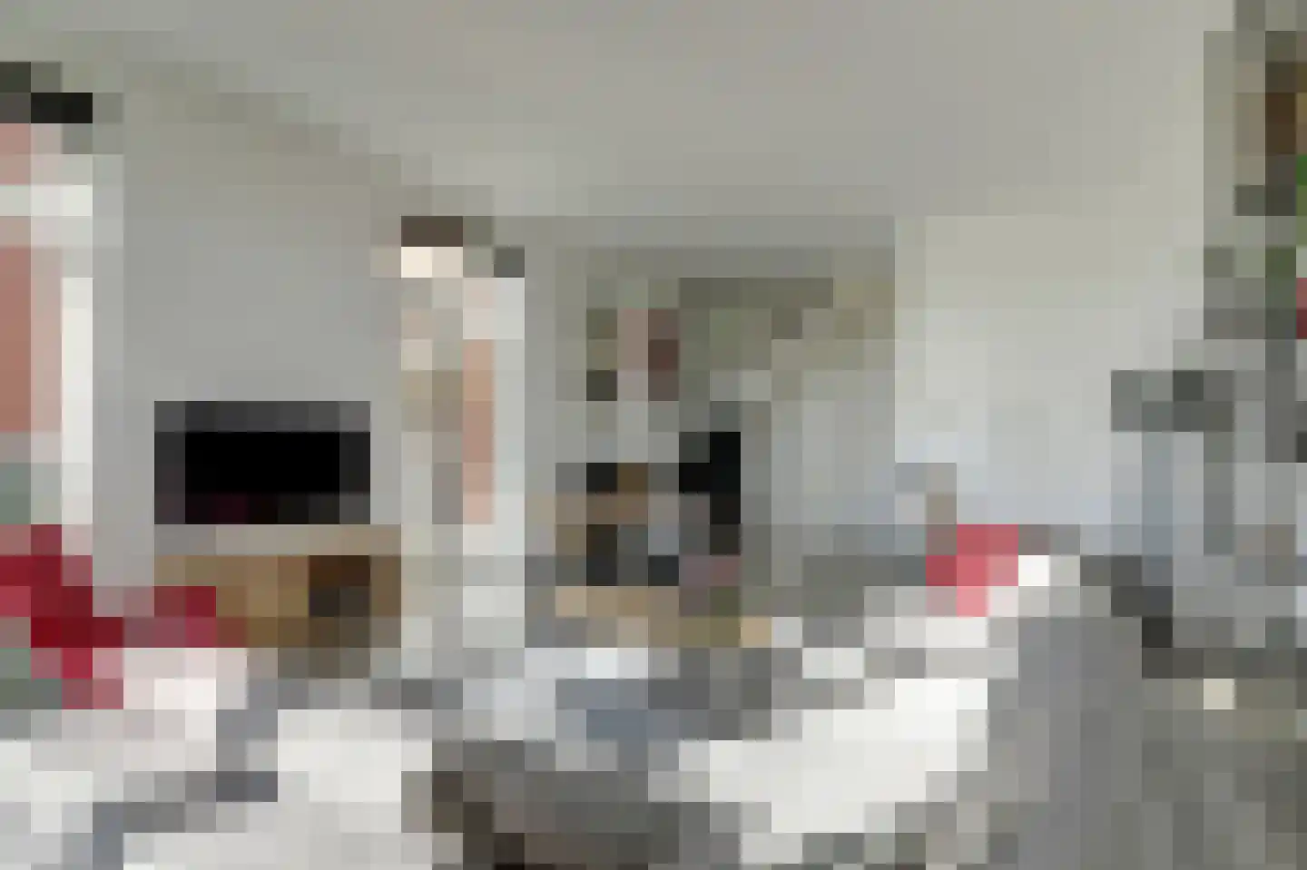Onderlangs 5 Waddinxveen thumbnail 16