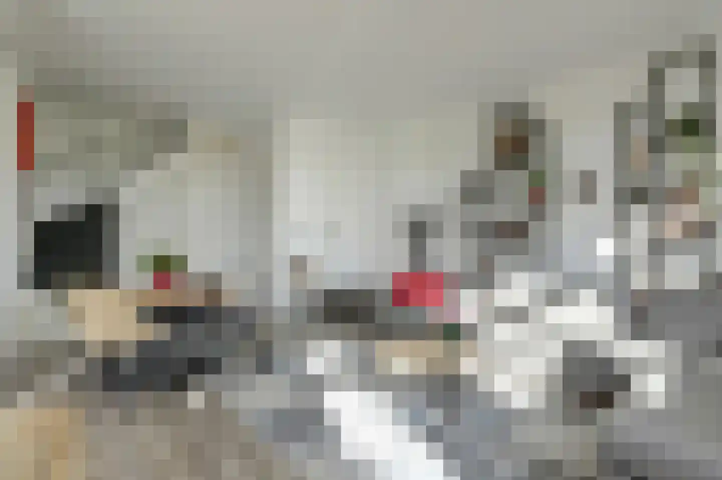 Onderlangs 5 Waddinxveen thumbnail 17