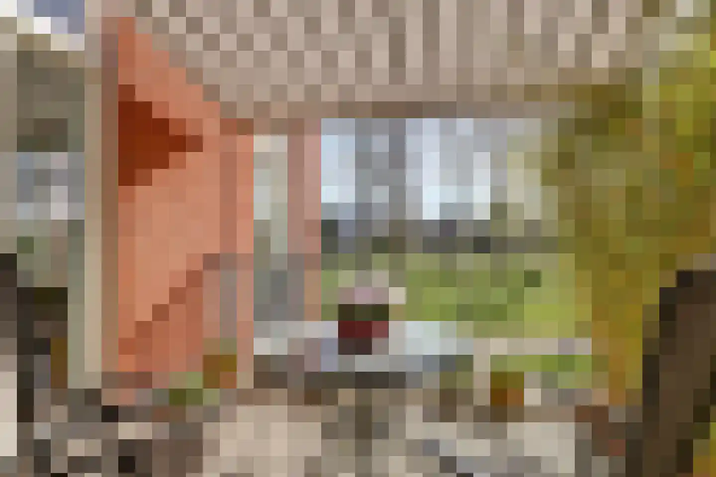 Onderlangs 5 Waddinxveen thumbnail 22