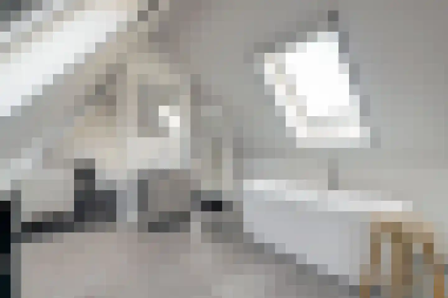 Onderlangs 5 Waddinxveen thumbnail 39