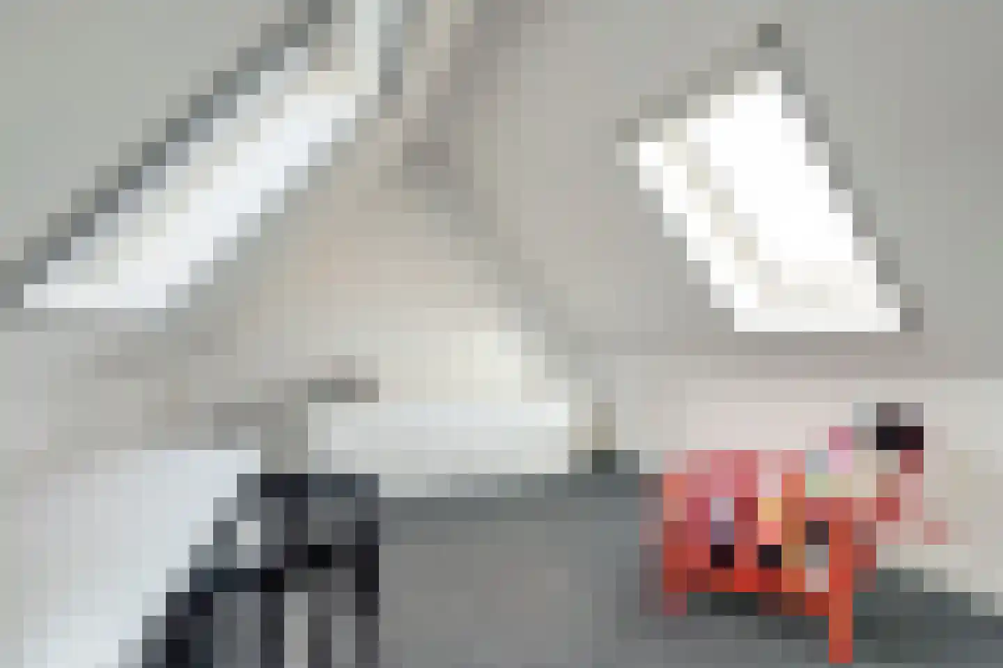Onderlangs 5 Waddinxveen thumbnail 40