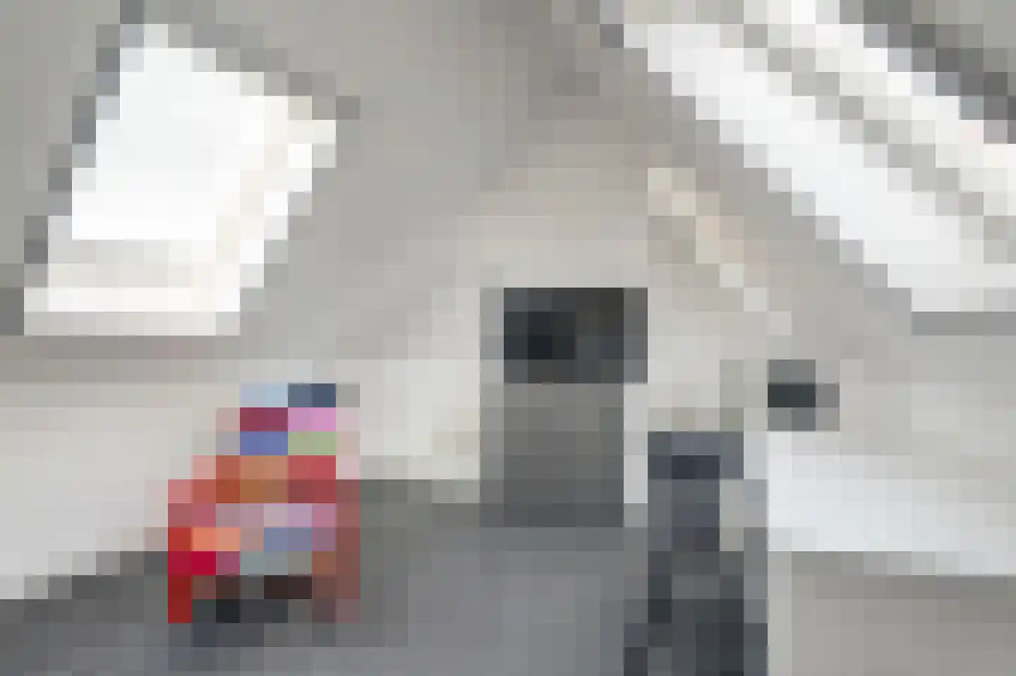 Onderlangs 5 Waddinxveen thumbnail 41