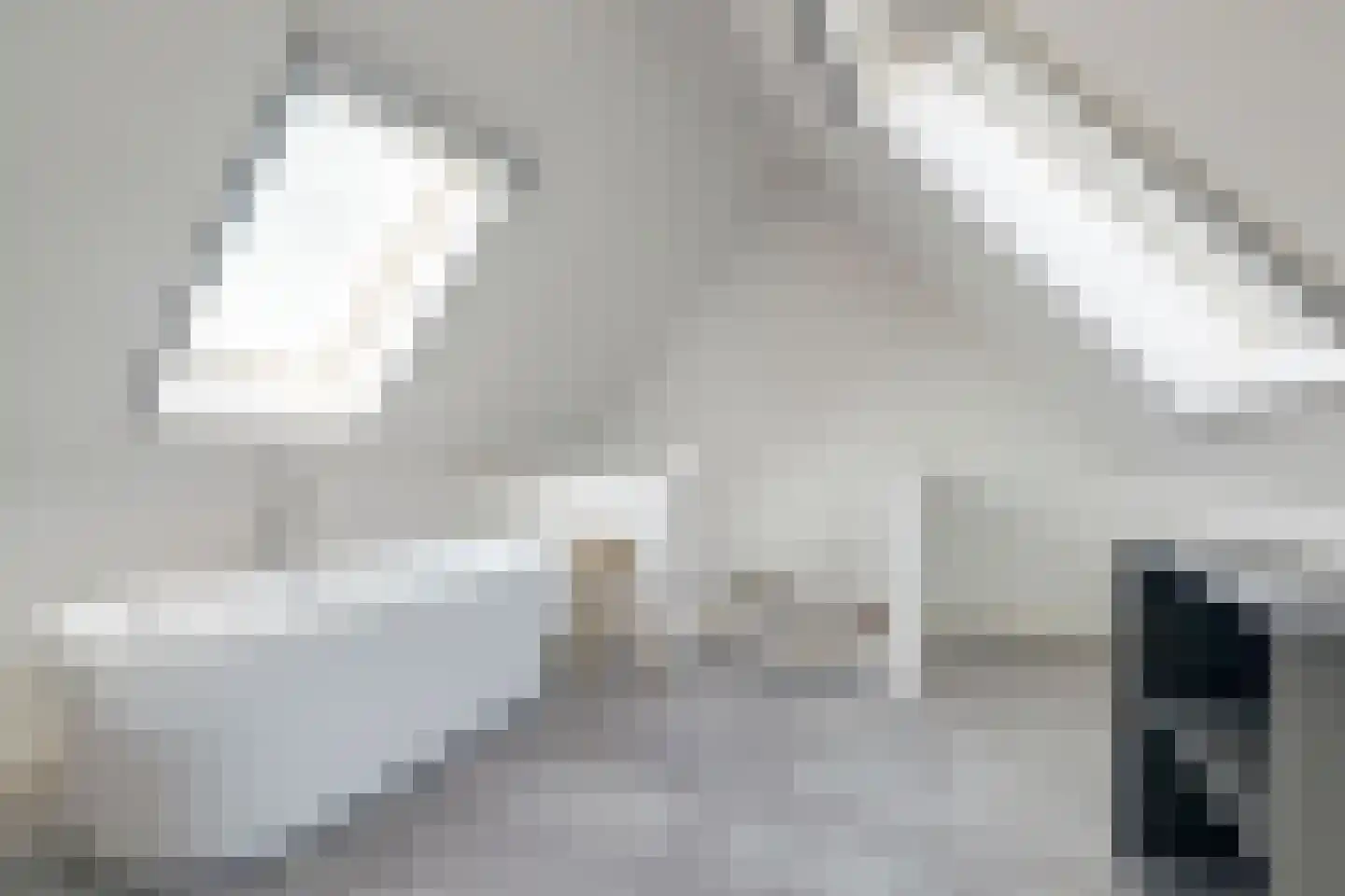 Onderlangs 5 Waddinxveen thumbnail 42