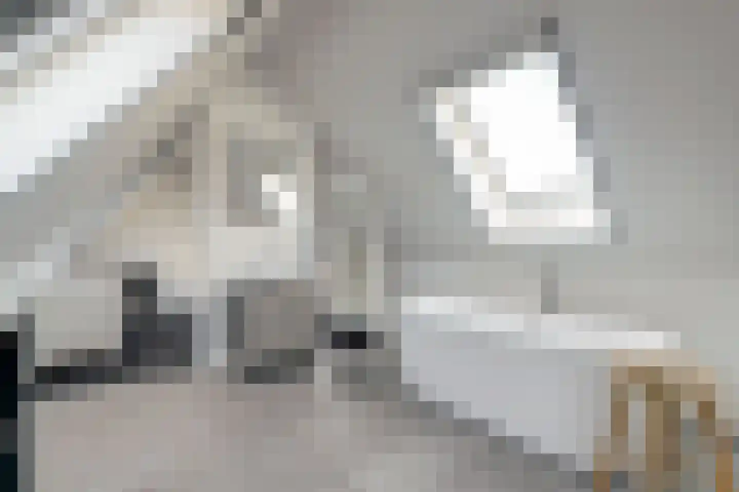 Onderlangs 5 Waddinxveen thumbnail 5
