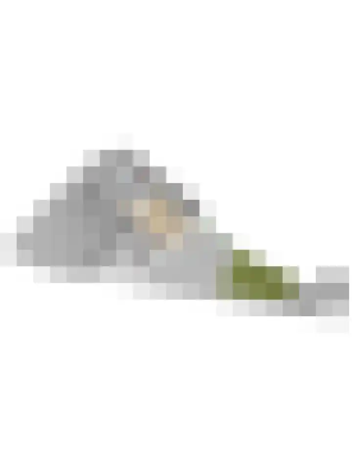 Onderling 2 Maassluis thumbnail 59