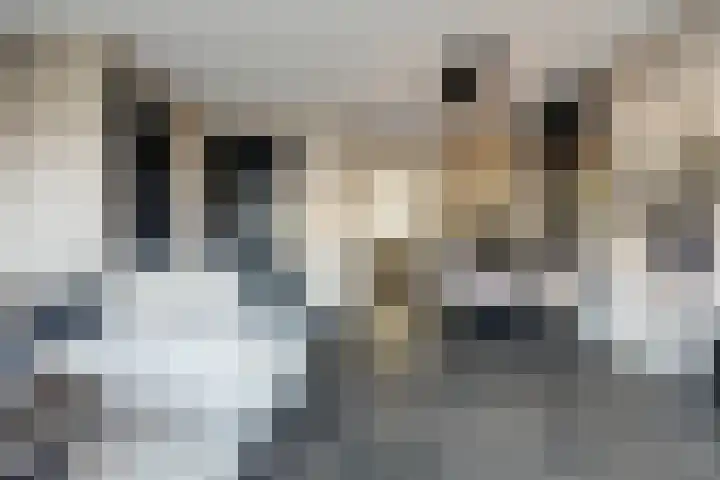 Onderling 2 Maassluis thumbnail 9