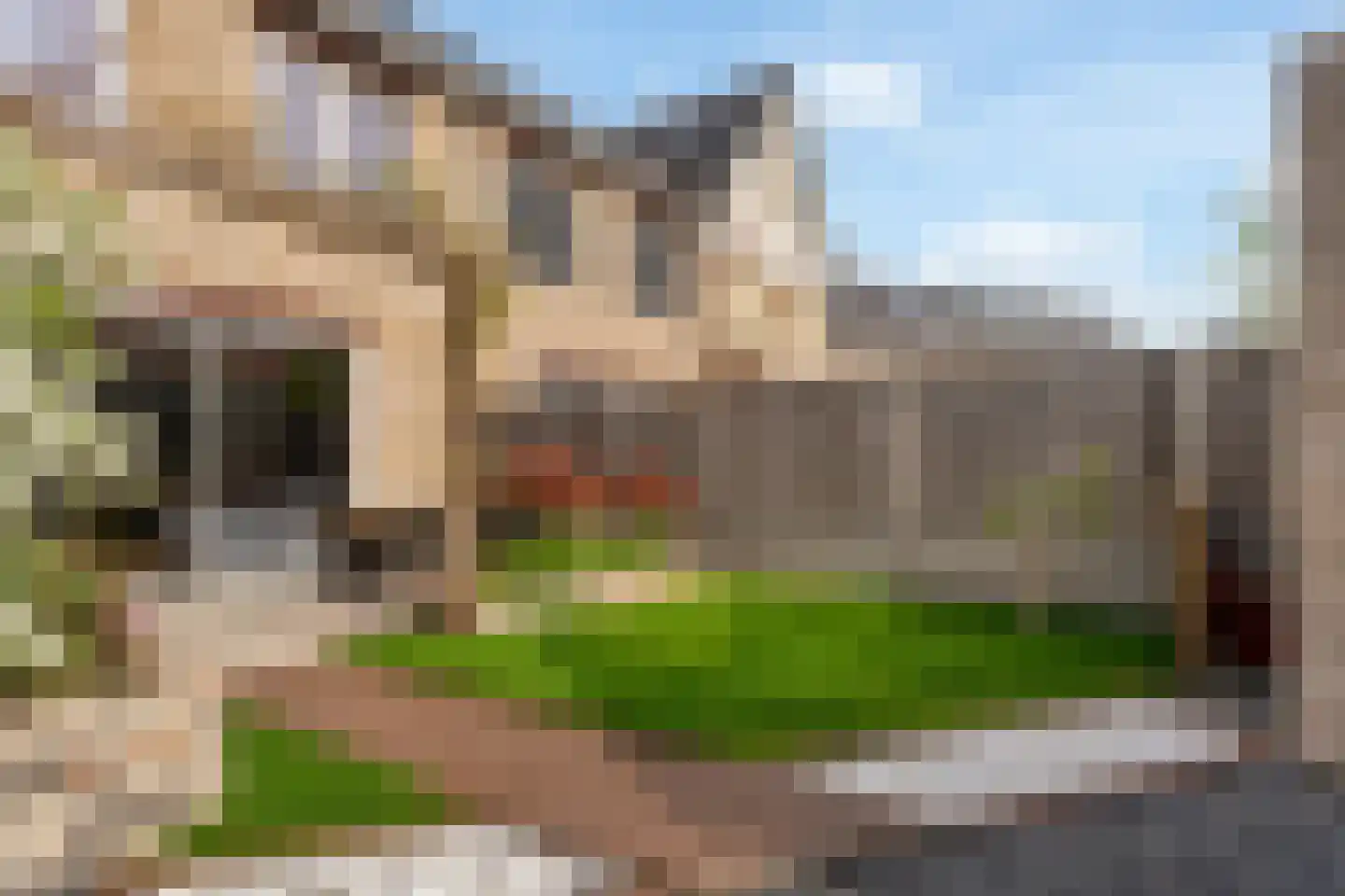 Onderling 38 Maassluis thumbnail 34