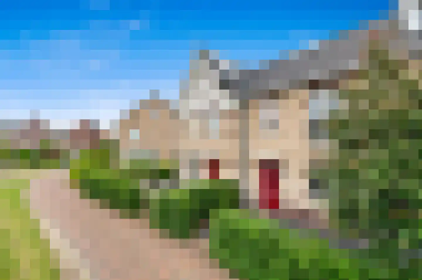 Onderling 40 Maassluis thumbnail 4