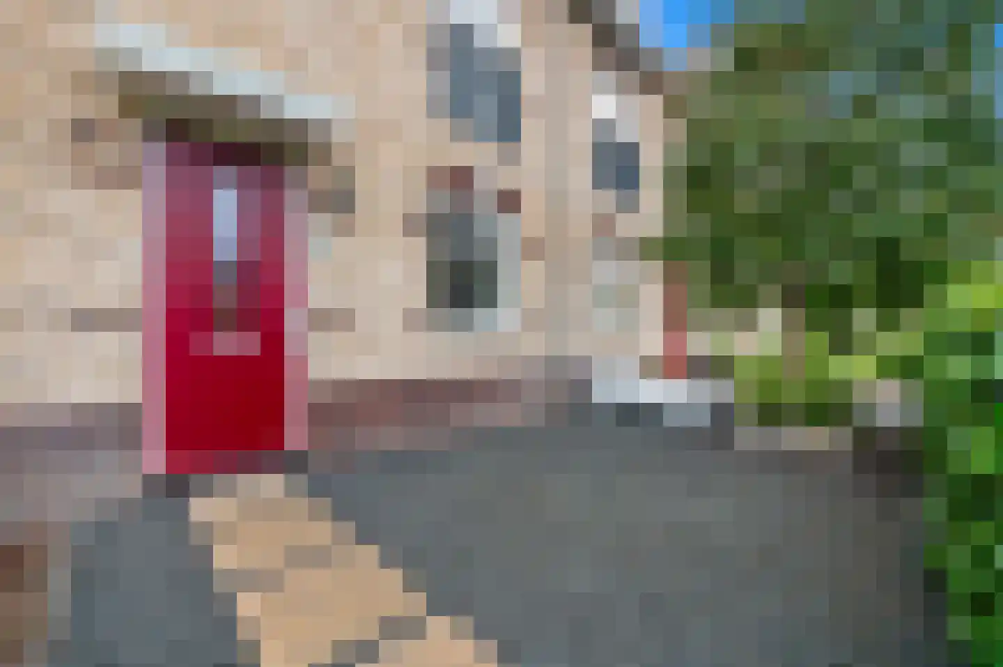 Onderling 40 Maassluis thumbnail 8
