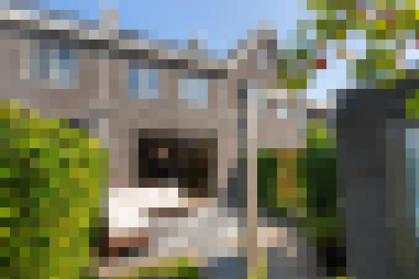 Onderling 43 Maassluis thumbnail 39