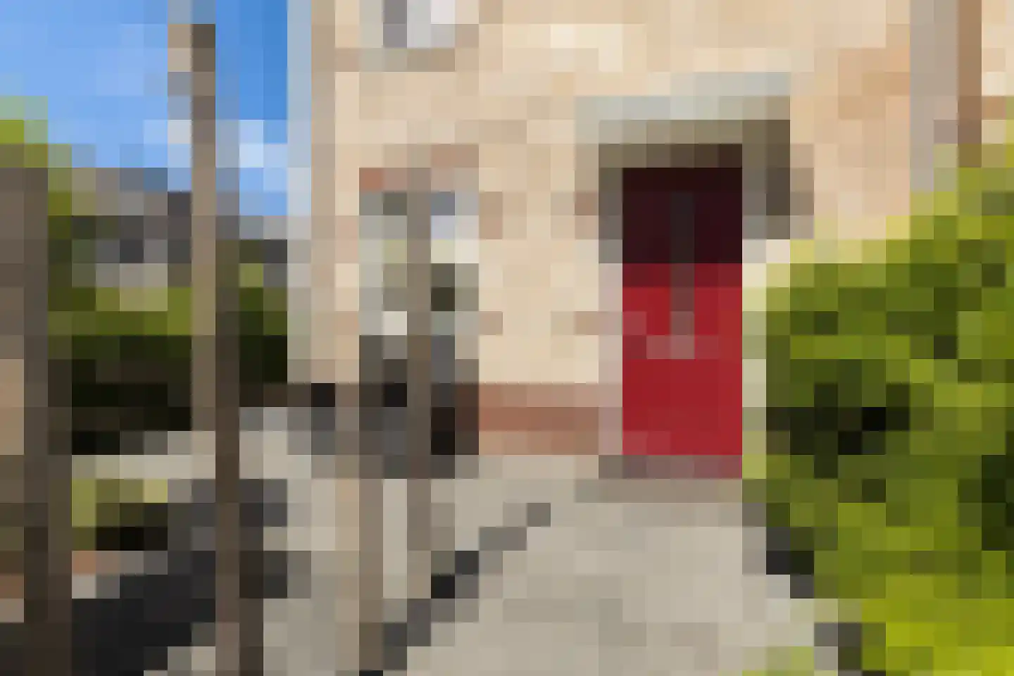 Onderling 61 Maassluis thumbnail 5