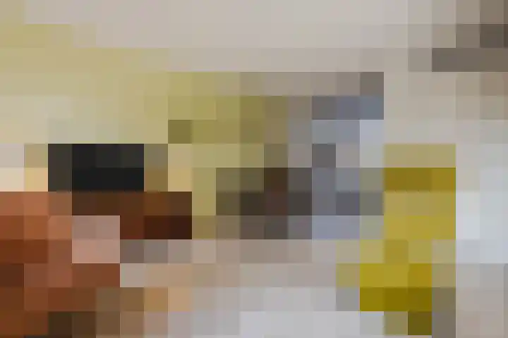 Ondermaat 15 a Hardenberg thumbnail 10