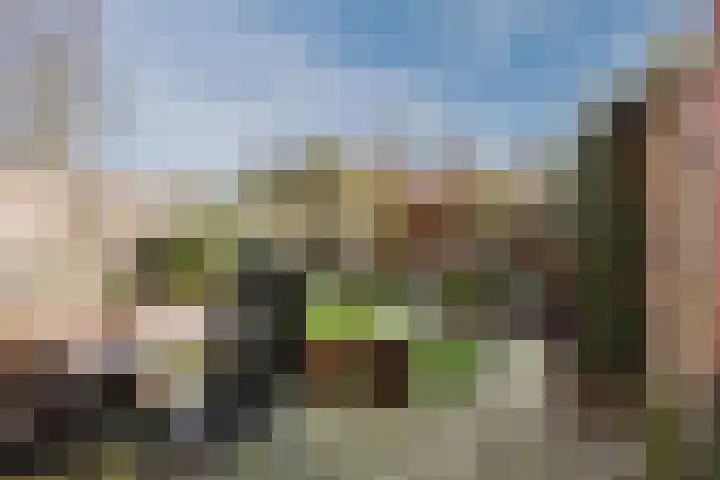 Ondermaat 15 a Hardenberg thumbnail 37