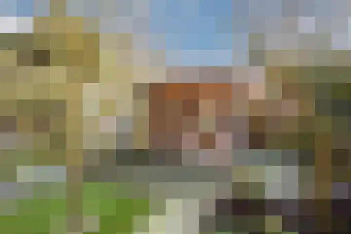 Ondermaat 15 a Hardenberg thumbnail 40