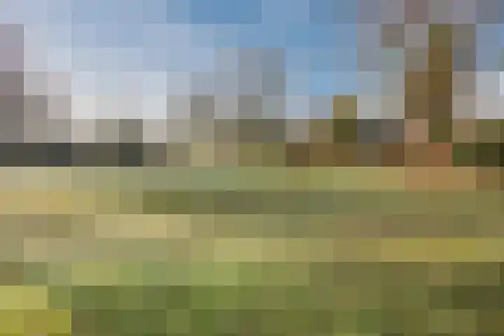 Ondermaat 15 a Hardenberg thumbnail 45