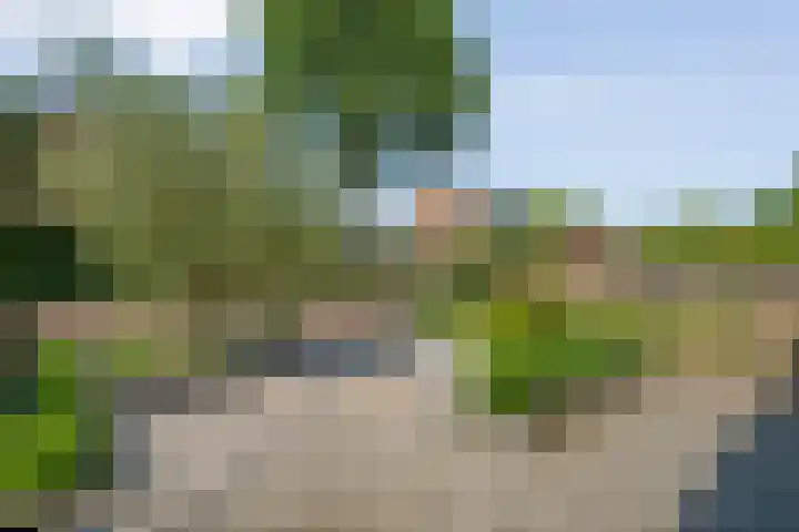 Ondermaat 41 Hardenberg thumbnail 10