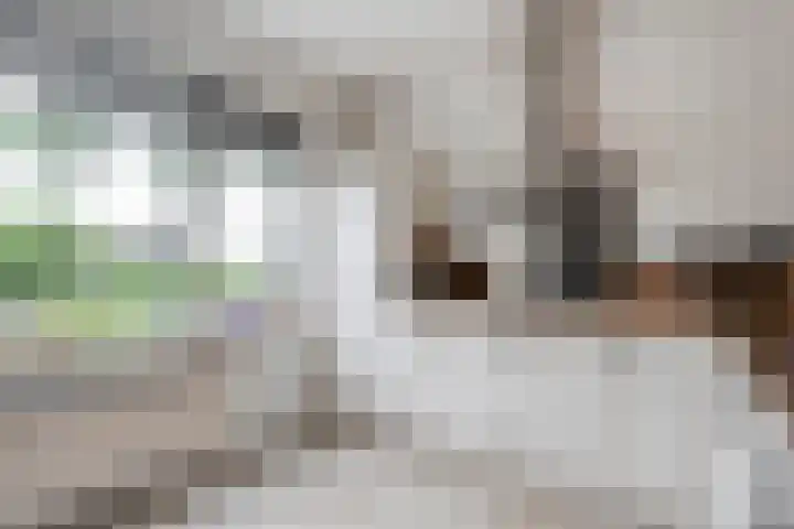 Ondermaat 41 Hardenberg thumbnail 24