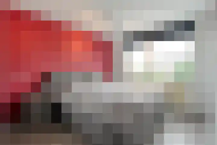Ondermaat 41 Hardenberg thumbnail 28