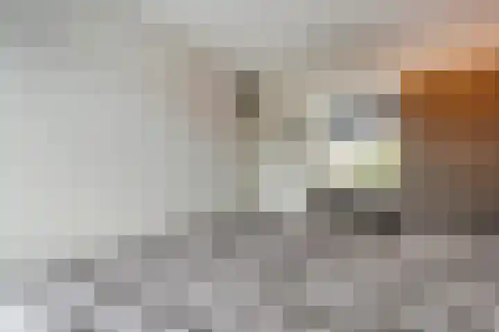 Ondermaat 41 Hardenberg thumbnail 29