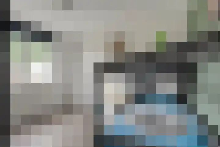 Ondermaat 41 Hardenberg thumbnail 32