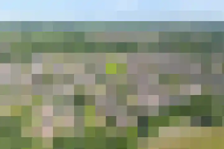 Ondermaat 41 Hardenberg thumbnail 4