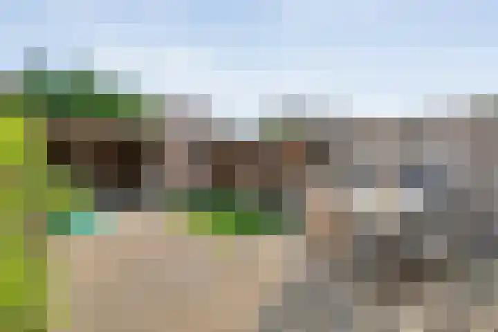Ondermaat 41 Hardenberg thumbnail 40