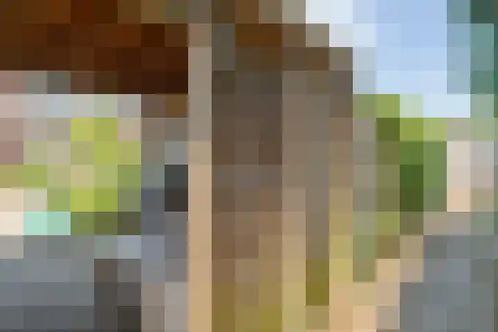 Ondermaat 41 Hardenberg thumbnail 47