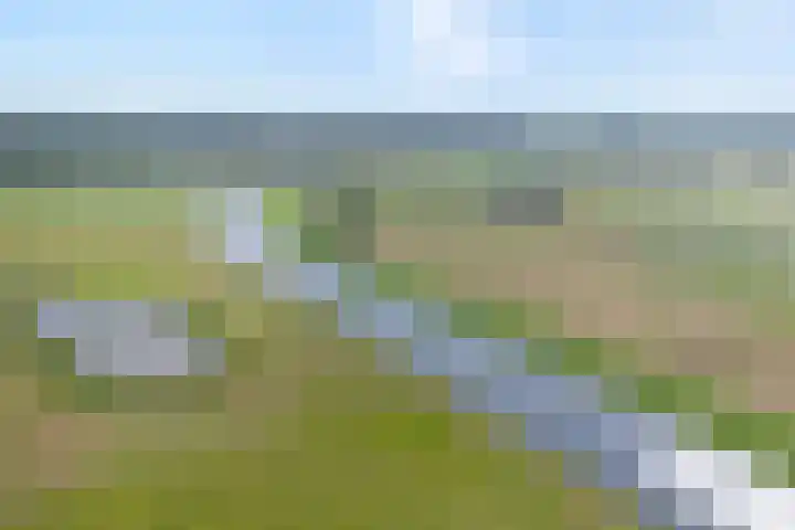 Ondermaat 41 Hardenberg thumbnail 5