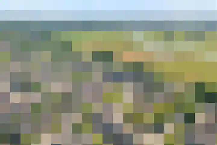 Ondermaat 41 Hardenberg thumbnail 6