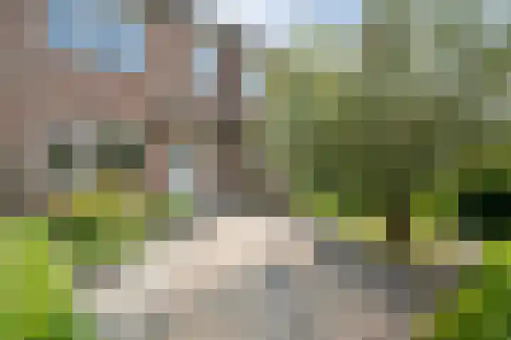 Ondermaat 41 Hardenberg thumbnail 9