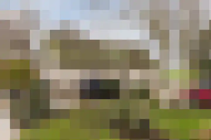 Ondermeerweg 39 Leidschendam thumbnail 10