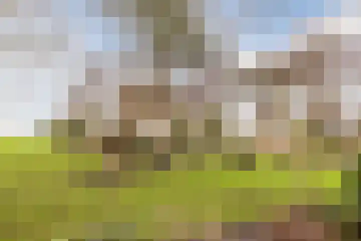 Ondermeerweg 39 Leidschendam thumbnail 4