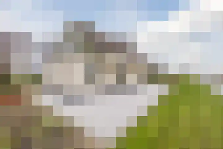 Ondermeerweg 39 Leidschendam thumbnail 45