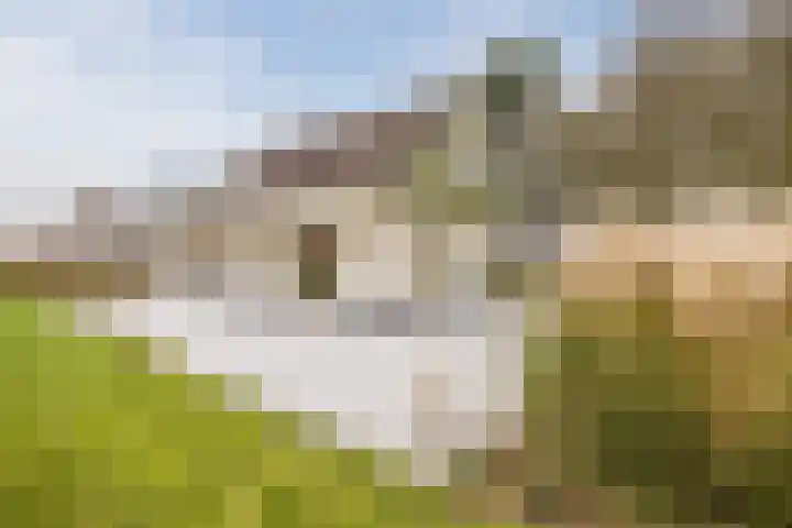 Ondermeerweg 39 Leidschendam thumbnail 46