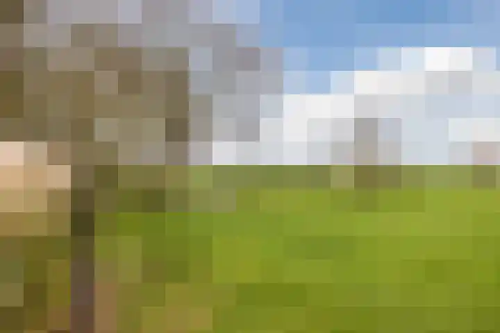 Ondermeerweg 39 Leidschendam thumbnail 48