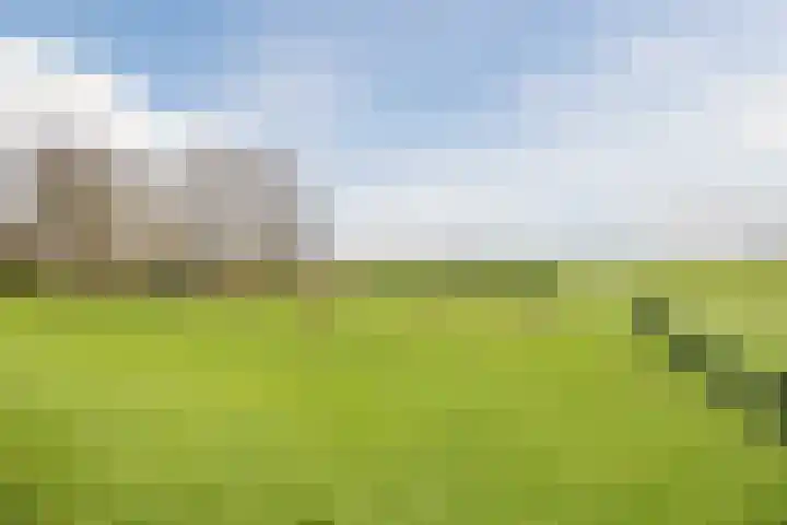 Ondermeerweg 39 Leidschendam thumbnail 49