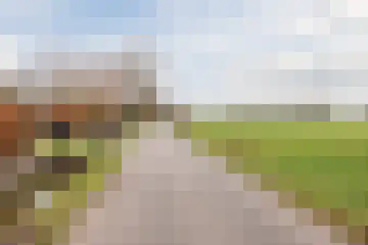 Ondermeerweg 39 Leidschendam thumbnail 5