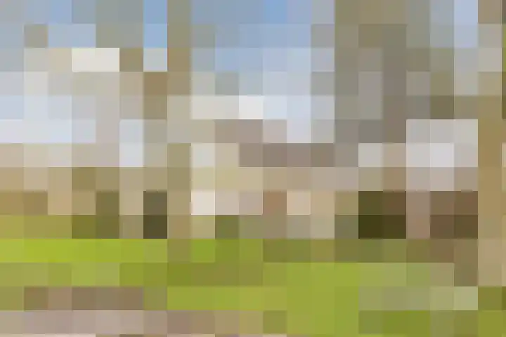 Ondermeerweg 39 Leidschendam thumbnail 51