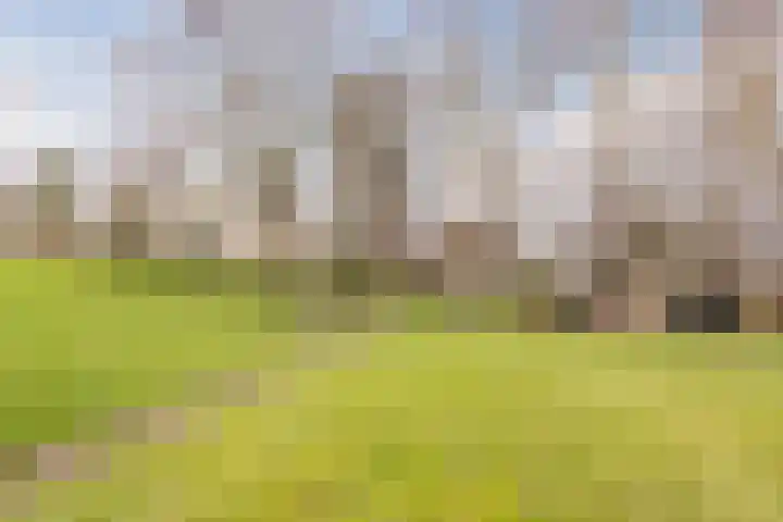 Ondermeerweg 39 Leidschendam thumbnail 52