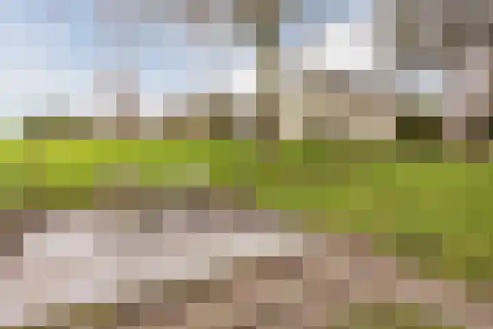 Ondermeerweg 39 Leidschendam thumbnail 53