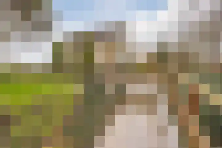 Ondermeerweg 39 Leidschendam thumbnail 9