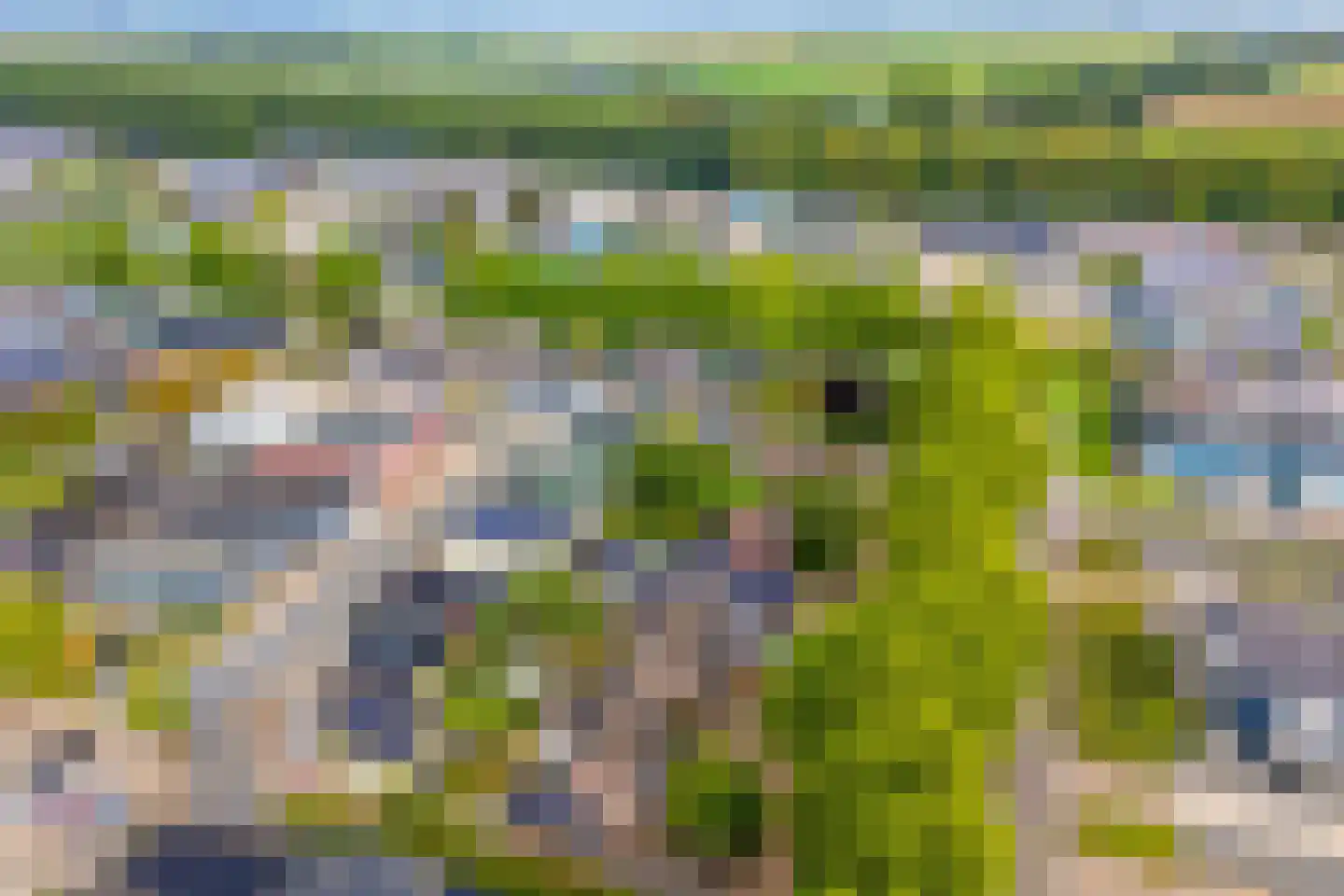 Ondernemingsweg 22 Dronten thumbnail 62