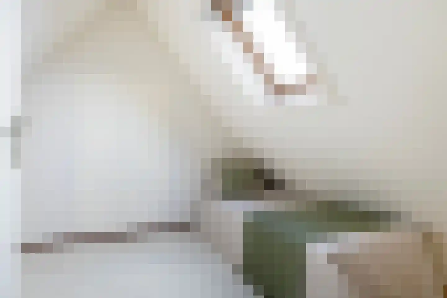 Ondersmastate 37 Hallum thumbnail 35