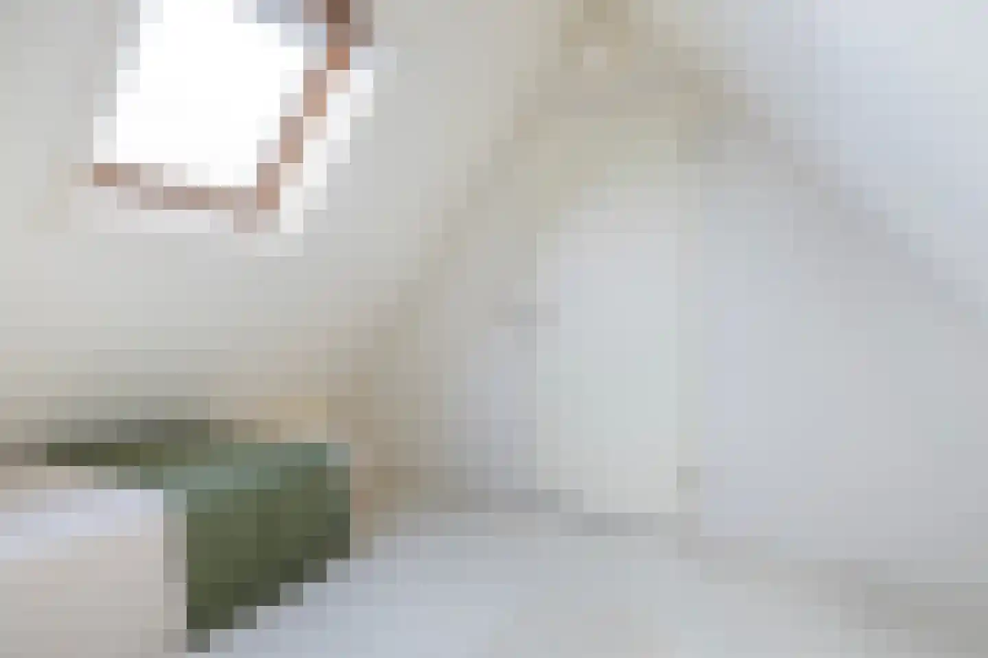 Ondersmastate 37 Hallum thumbnail 38
