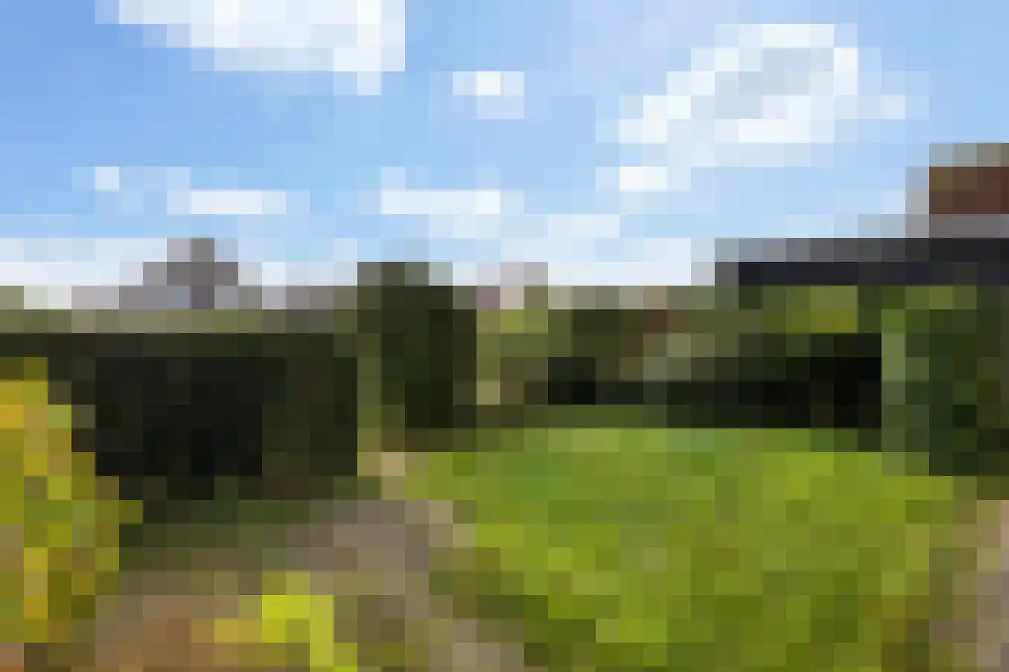 Ondersmastate 37 Hallum thumbnail 43