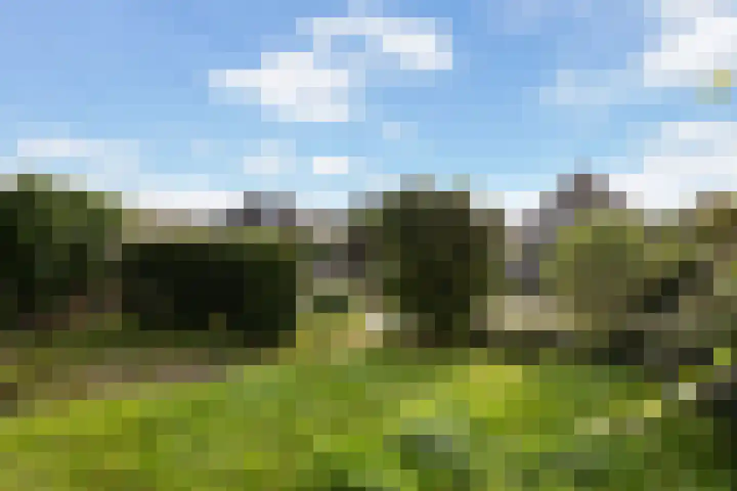 Ondersmastate 37 Hallum thumbnail 44